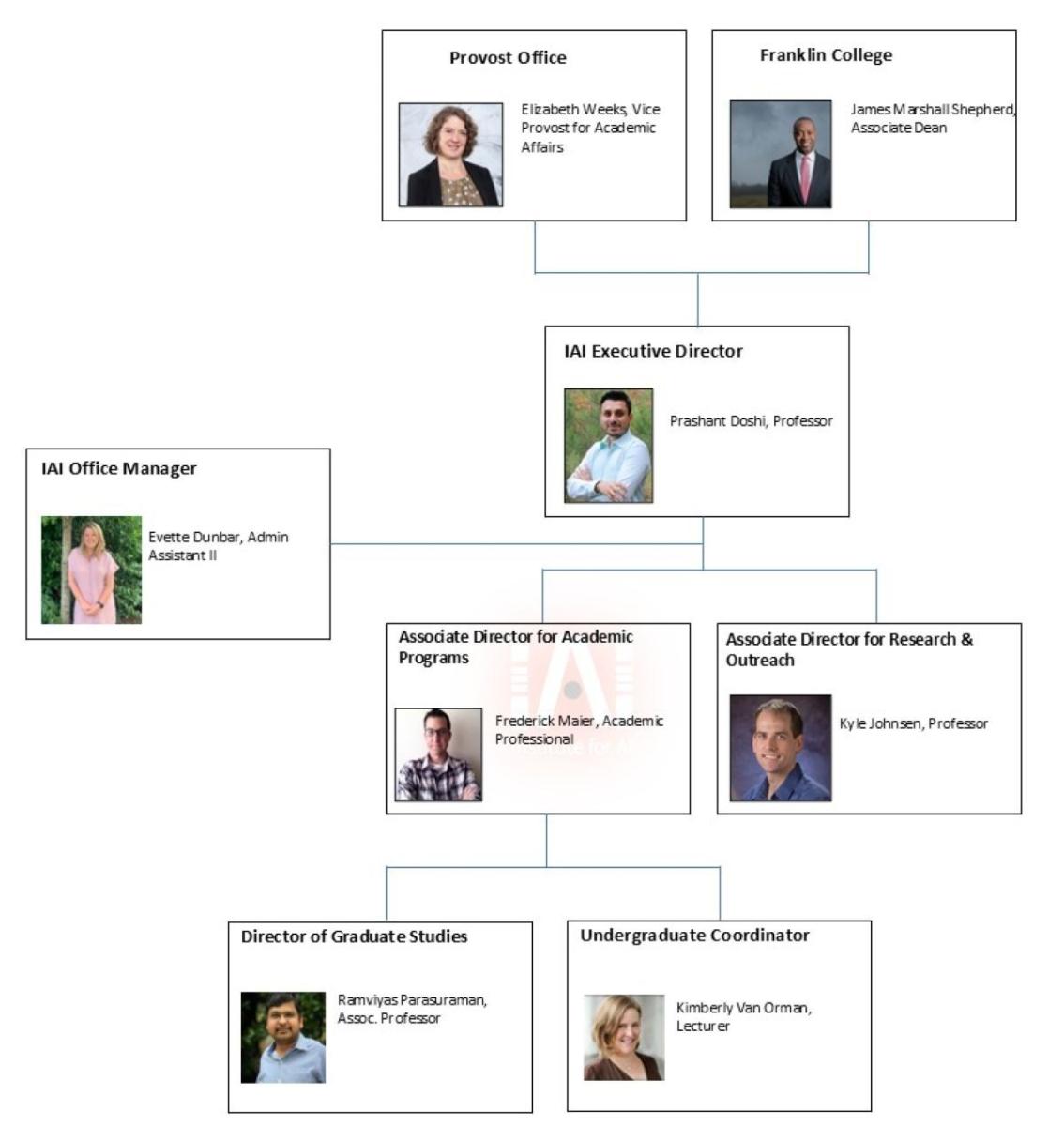 IAI organization structure